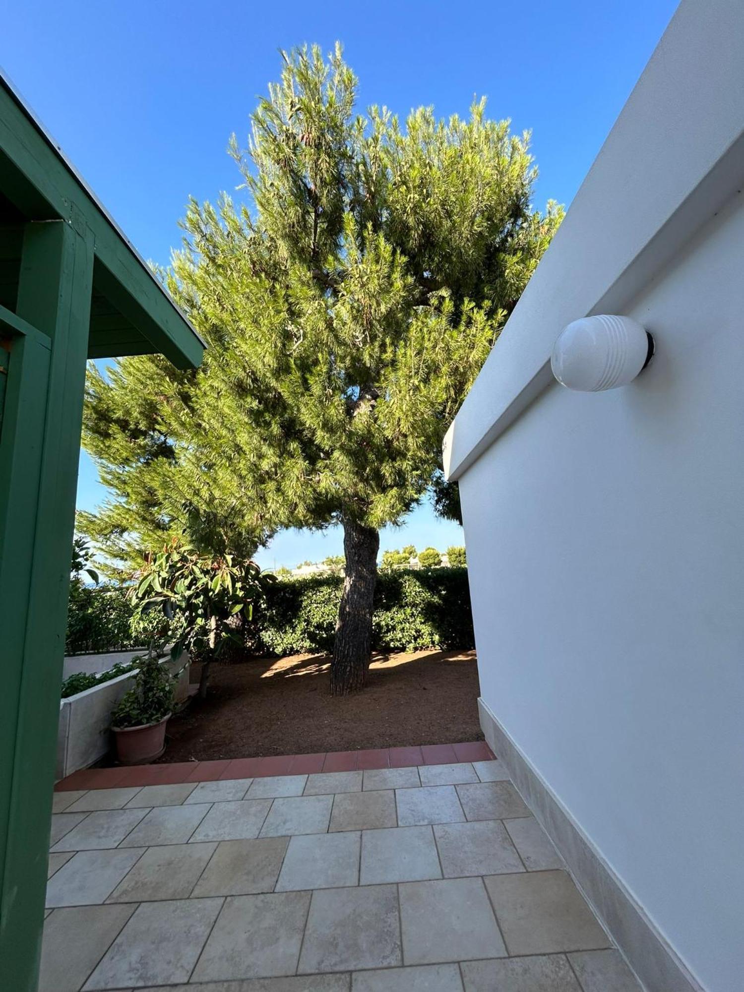 Villa Lamandia Монополи Экстерьер фото